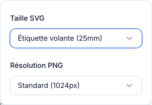 Le panneau QR Code avec les Options d'export ouvertes, montrant le menu déroulant Taille SVG avec les préréglages Étiquette d'entretien, Étiquette volante, Grand et Personnalisé.