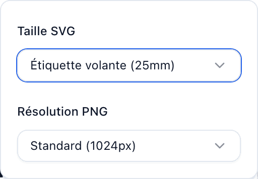 Le panneau QR Code avec les Options d'export ouvertes, montrant le menu déroulant Taille SVG avec les préréglages Étiquette d'entretien, Étiquette volante, Grand et Personnalisé.